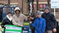 Staff from Laois stable are among the top 2024 HRI Irish Thoroughbred Welfare Council best-turned-out league