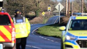 Two men (20s) killed and two people hospitalised in Carlow crash Two men (20s) killed and two people hospitalised in Carlow crash