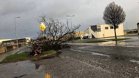 Christina McHugh: As Storm Éowyn swept in, I prayed that the roof would remain on the house