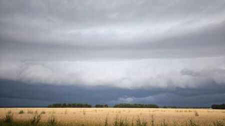 Fr Paddy Byrne: Spring heralds a time of hope and renewal