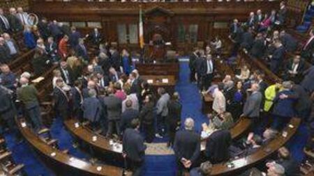 ‘Victory for common sense’ on speaking rights ruling in the Dáil says Laois TD