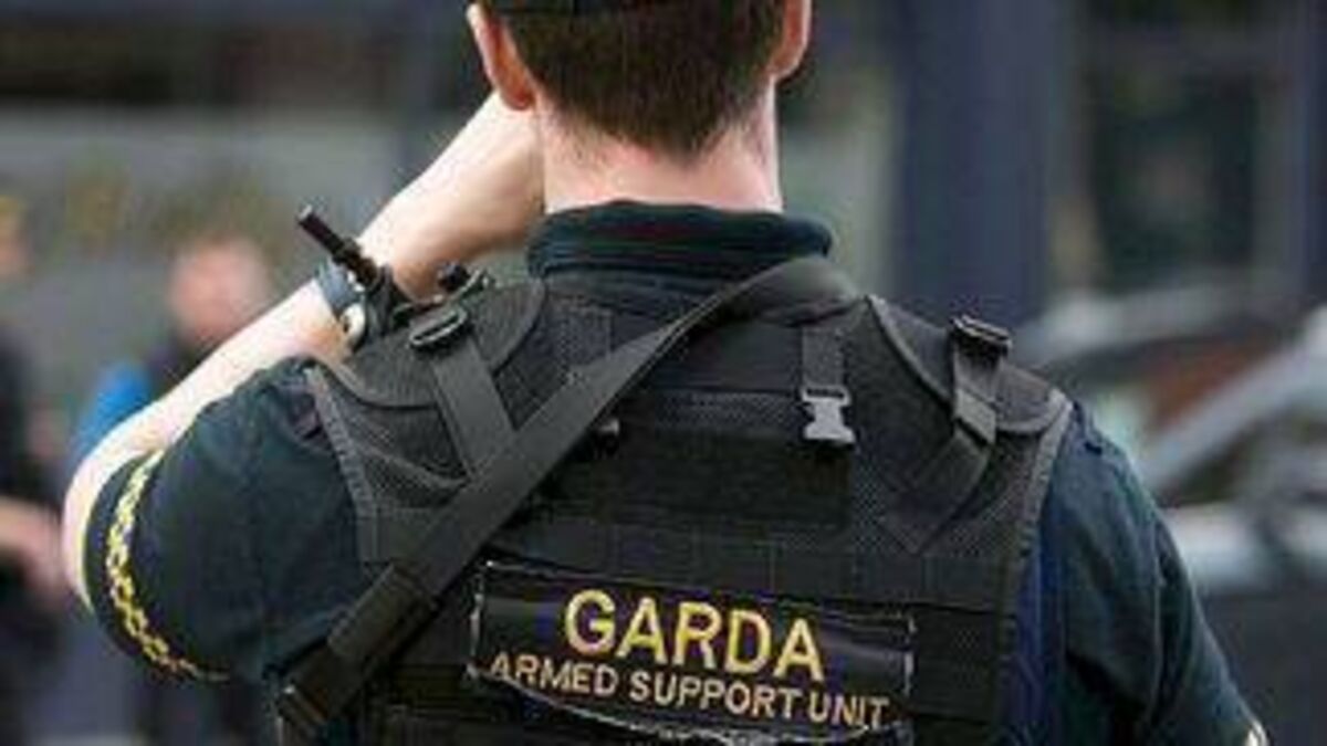 BREAKING: Multi-million euro drugs find in Laois