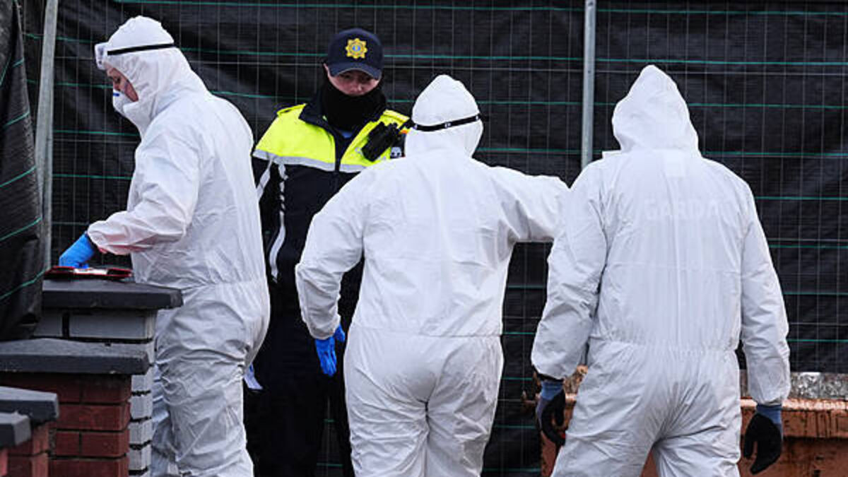 Meath house searched as part of Elizabeth Clarke murder investigation