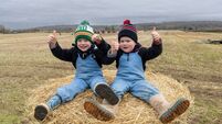 Conditions were ideal for Laois ploughing match