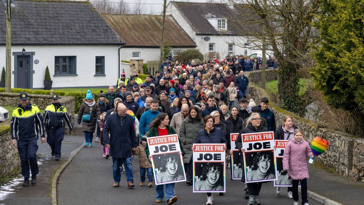 DPP to appeal sentence for Laois student's killer