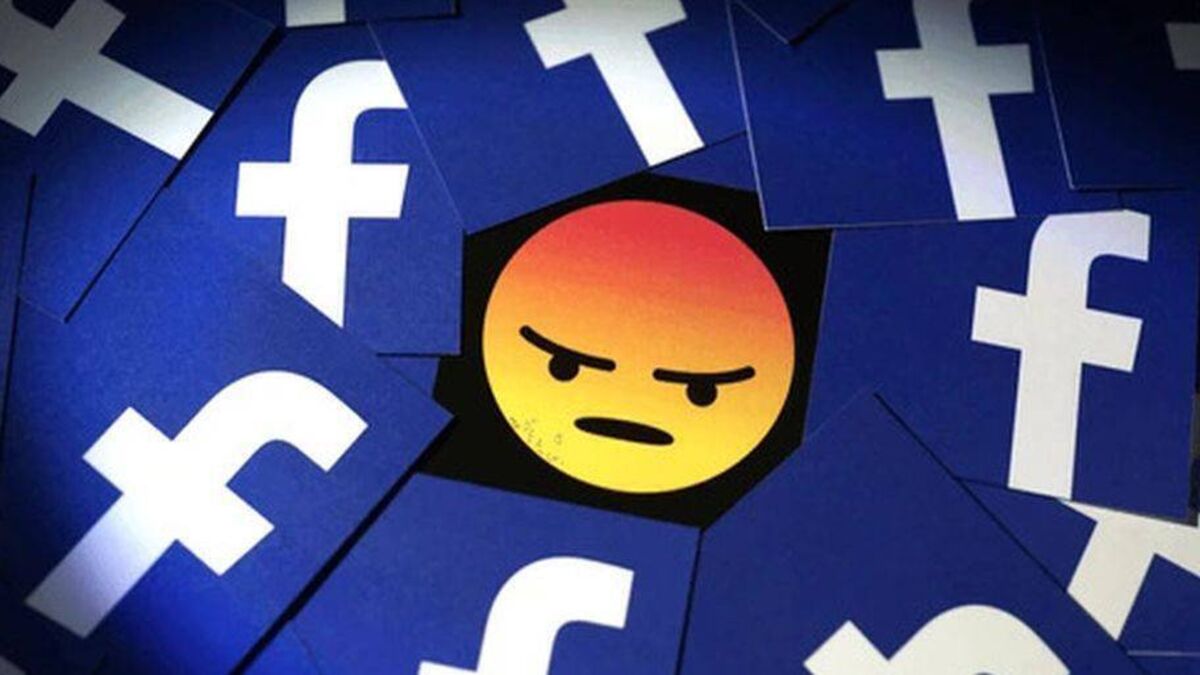 Facebook is "a nuisance" for Laois politician