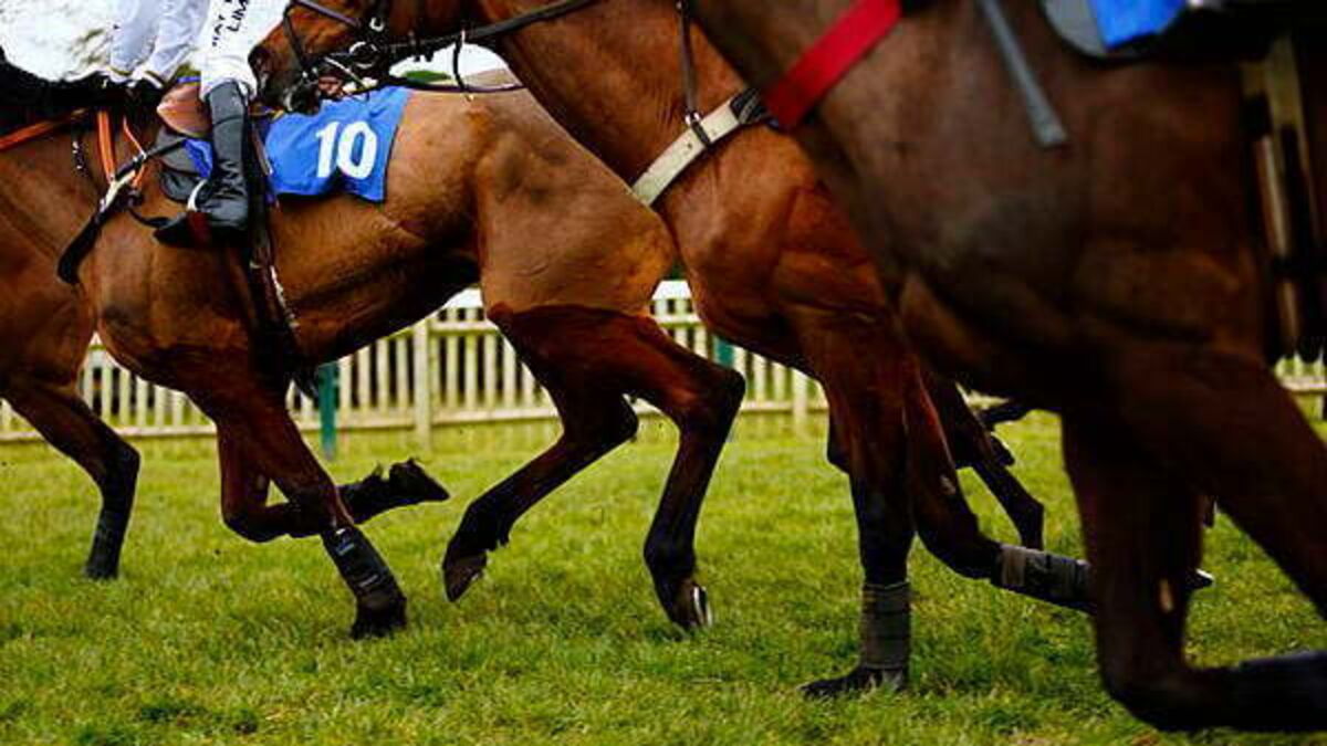 Million-euro stallion to be stabled at Carlow stud amid ownership dispute, court orders