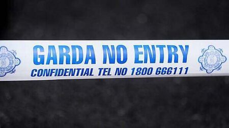 Gardaí in Limerick on alert after fire-bombing of a car outside a family's home