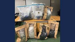 Gardaí seize cannabis worth over €500,000 following search in Cavan Gardaí seize cannabis worth over €500,000 following search in Cavan