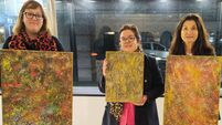 Impressive Laois window display inspired Angela to showcase her paintings