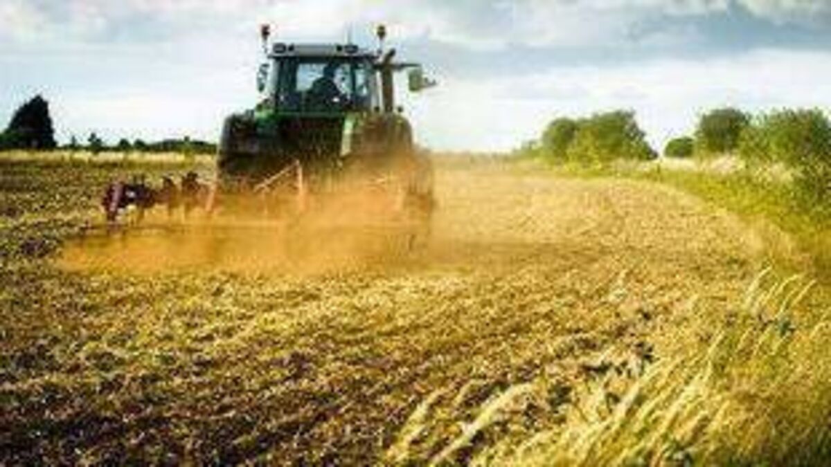 Laois tillage and horticulture farmers can expect payments in their bank accounts shortly