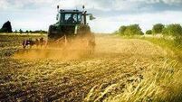 Laois tillage and horticulture farmers can expect payments in their bank accounts shortly