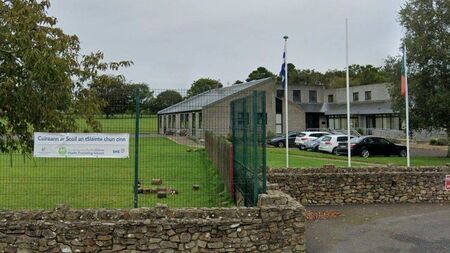 Speed survey for Laois school amid safety fears