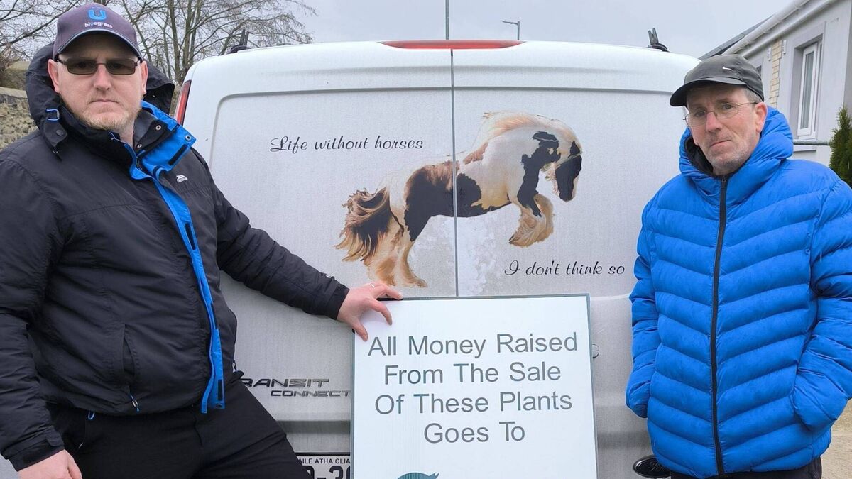 Laois man's fundraiser will raise vital funds for horse welfare trust