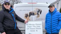 Laois man's fundraiser will raise vital funds for horse welfare trust