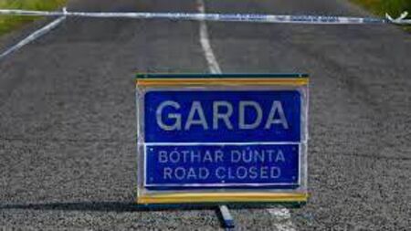 Pedestrian in his 70s dies following collision in Stradbally