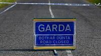 Pedestrian in his 70s dies following collision in Stradbally