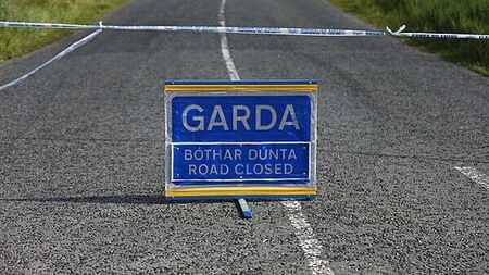 Man (70s) dies after being struck by car in Co Laois