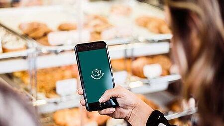 Irish households waste an average of €374 worth of food per year