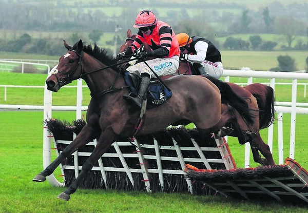 Jetara is Jessica Harrington’s best chance of success at this year’s Cheltenham Festival Photo: Lorraine O’Sullivan/Racing Post Jetara is Jessica Harrington’s best chance of success at this year’s Cheltenham Festival Photo: Lorraine O’Sullivan/Racing Post