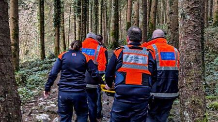 Laois Civil Defence rescues walker in Slieve Blooms