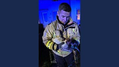 Dublin firefighters receive award from PETA for rescuing cat from burning house