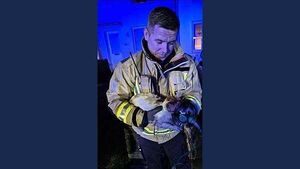 Dublin firefighters receive award from PETA for rescuing cat from burning house Dublin firefighters receive award from PETA for rescuing cat from burning house