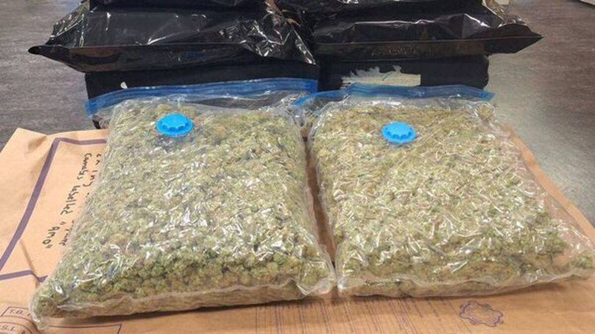 Two arrested after €541k drug seizures in Kildare