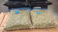 Two arrested after €541k drug seizures in Kildare