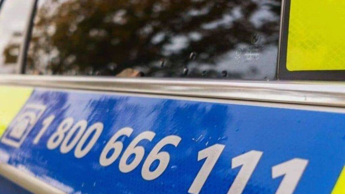 Thieves target cars in Stradbally