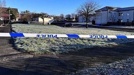Two further arrests in Co Tyrone murder probe
