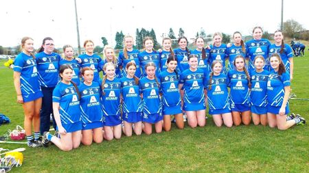 Laois finish strong to reach semi-final