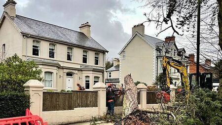 ‘No routes’ for NIE Networks to make compensation payments after Storm Éowyn