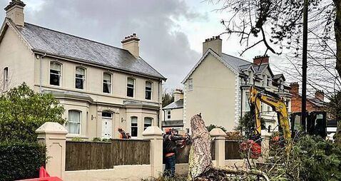 ‘No routes’ for NIE Networks to make compensation payments after Storm Éowyn