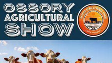 Popular summer agricultural shows in Laois receive funding