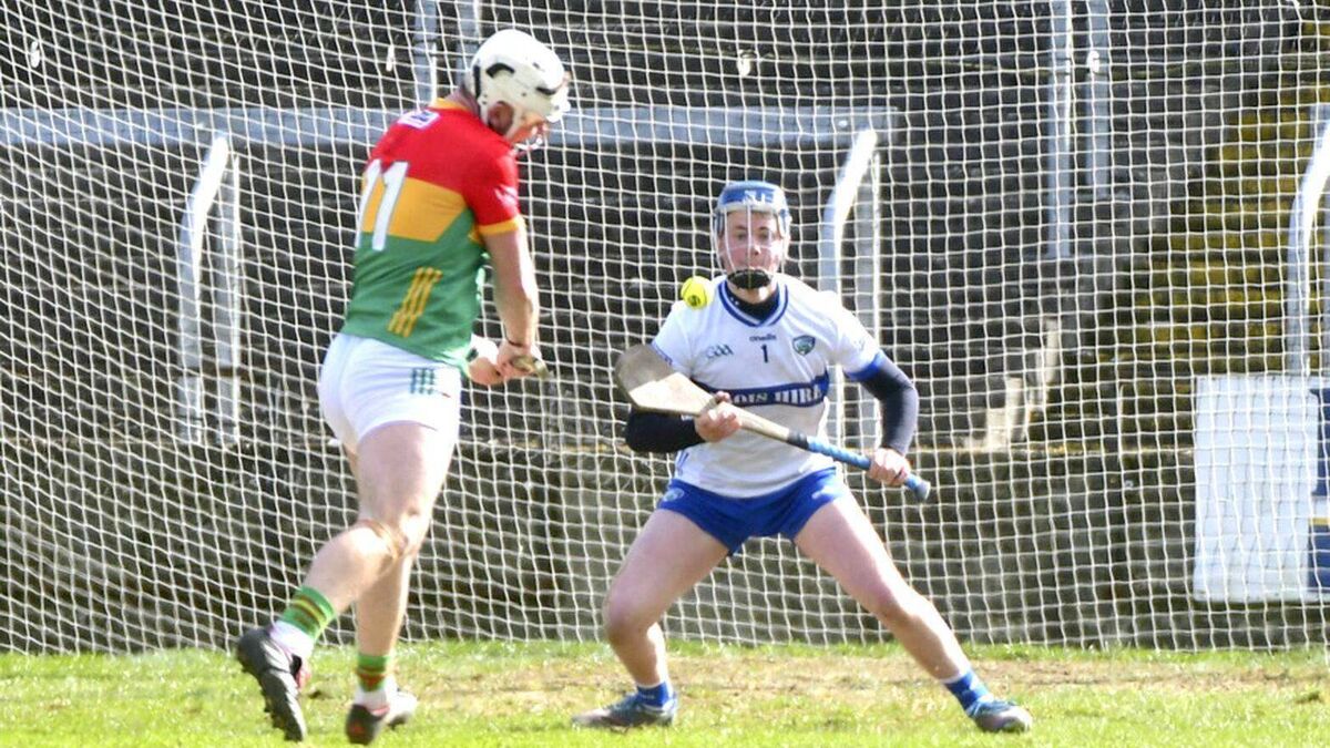 Laois hurlers face trips on roads less travelled next year