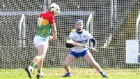 Laois hurlers face trips on roads less travelled next year 