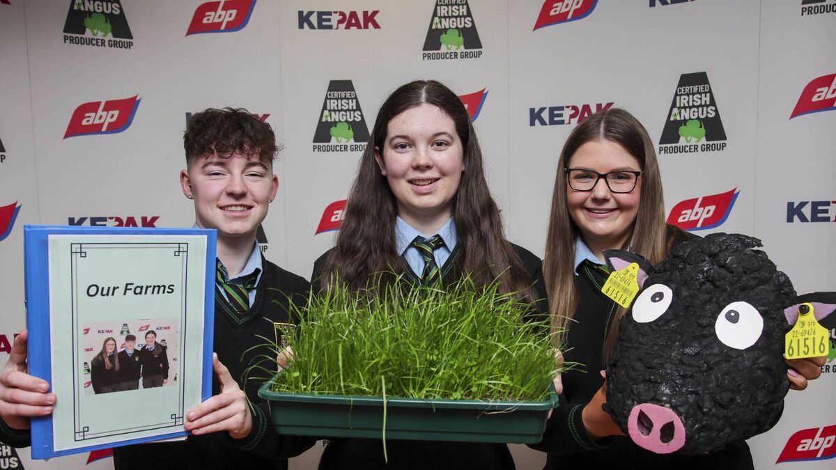 Laois students on the moo-ve in Croke Park