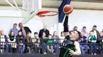 Portlaoise Panthers reach Men’s Division One semi-finals for the very first time 