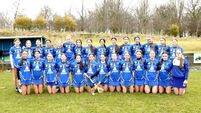 Laois advance to knock out stages 