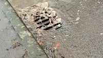 Raw sewage on driveways of Laois housing estate after heavy rainfall