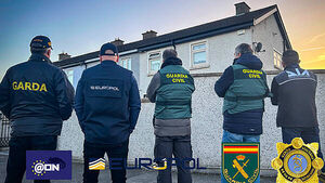 Spanish police and gardaí arrest 20 in operation targeting drug trafficking gang Spanish police and gardaí arrest 20 in operation targeting drug trafficking gang