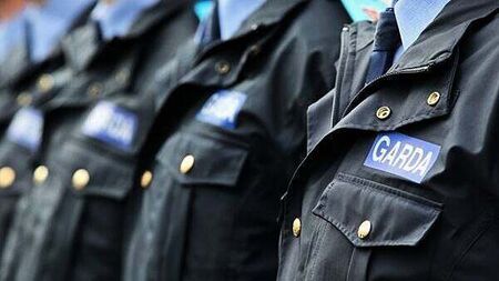 Judge orders a halt to disciplinary process against probationer garda