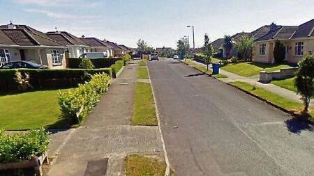 Locals object to housing estate being taken in charge by Laois County Council