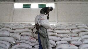 Irish charity Goal to lay off 30% of staff due to global aid cuts Irish charity Goal to lay off 30% of staff due to global aid cuts