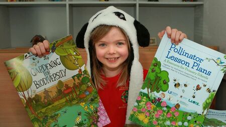 Laois teachers are buzzing over new lesson plans