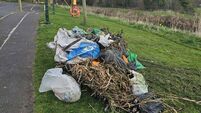 Suspected Kildare canal dumper identified
