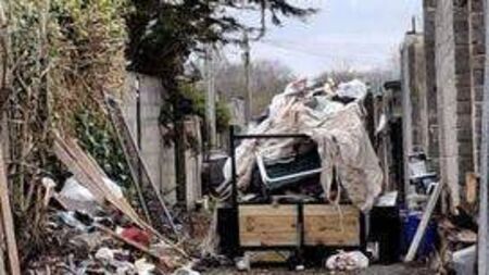 Contents of house clear out dumped on back laneway of Laois housing estate