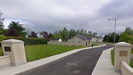 Child 'nearly killed' in Laois housing estate