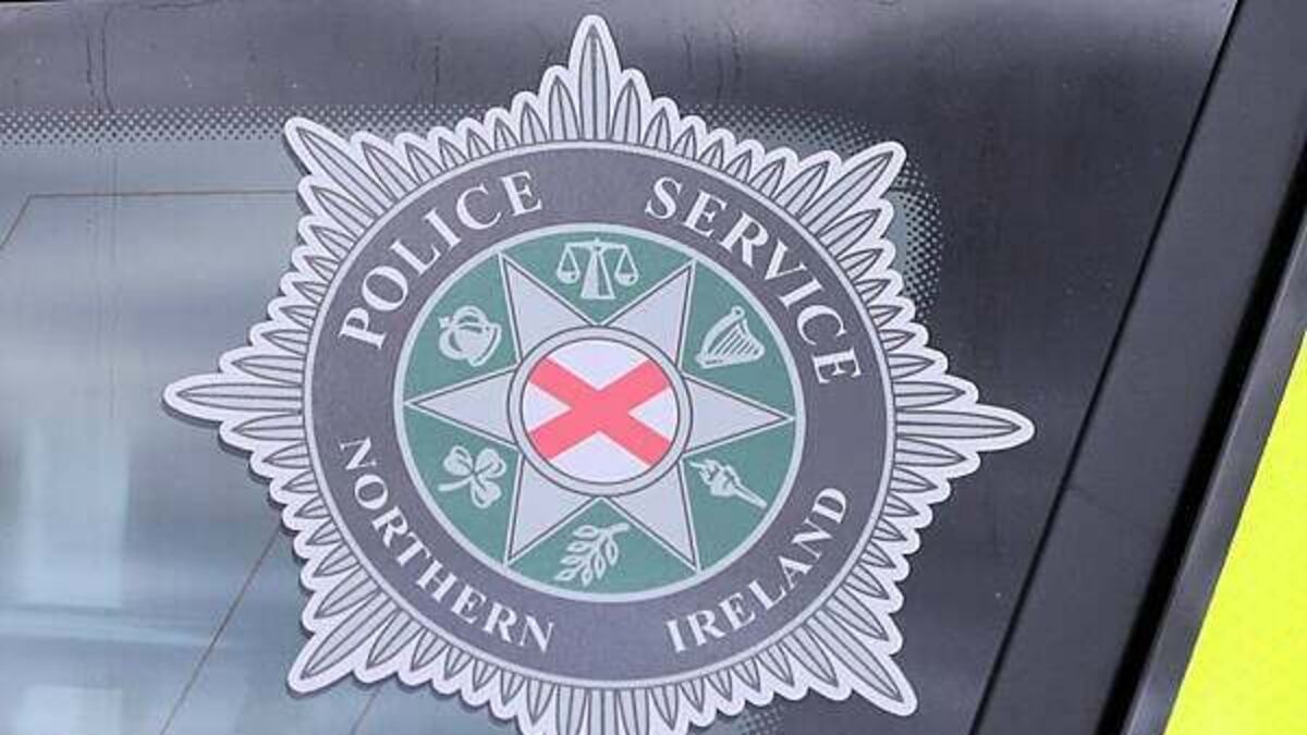 PSNI investigation under way after ravens poisoned
